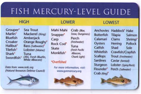 Mercury in Fish Pellets Shift to Environment - Fly Fisherman