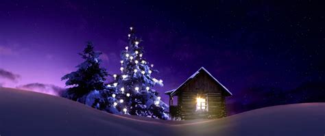 2560x1080 Resolution Christmas Lighted Tree Outside Winter Cabin 2560x1080 Resolution Wallpaper ...