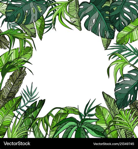 Tropical Background Vector