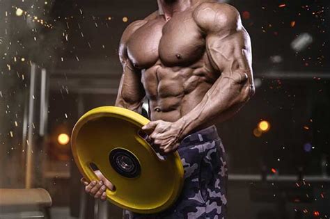 Are Arachidonic Acid Supplements Good for BodyBuilding?