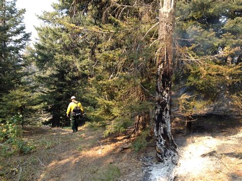 Table Mountain Fire 9/24 | A scorched tree at Table Mountain… | Flickr