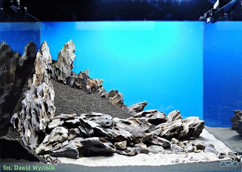 aquarium hardscape | Aquascape aquarium, Freshwater aquarium, Aquarium ...