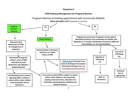 Practice Guidance for practitioners on Female Genital Mutilation (FGM ...