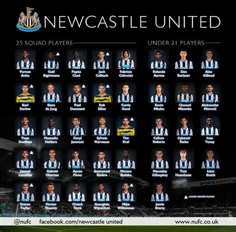 Newcastle United Full 25 Man Squad 2015/16 : NUFC