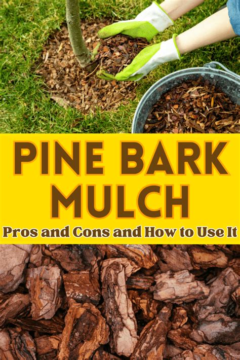 Pine Bark Mulch: Pros and Cons and How to Use It - The Homestead Hangout