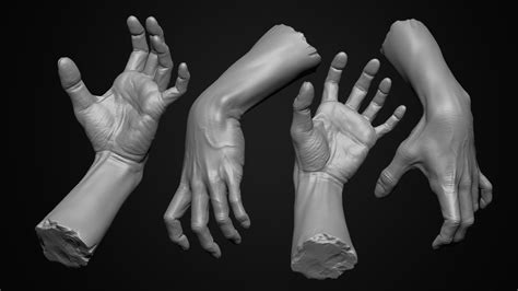 hand anatomy study - ZBrushCentral