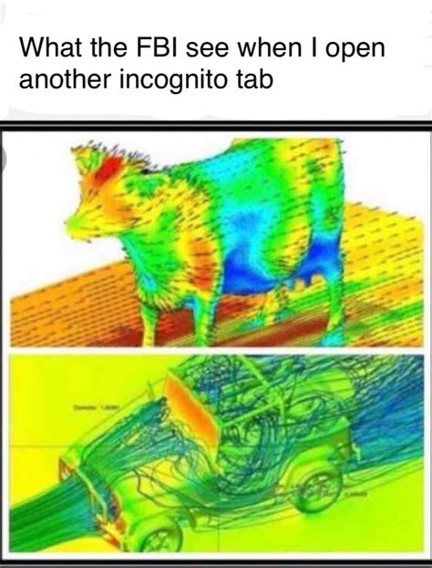 “Cow aerodynamics” : r/memes