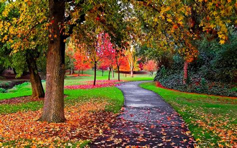 Autumn in the Park - Autumn Wallpaper (25517310) - Fanpop