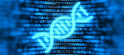 Mitochondrial Eve and Y Chromosome Adam - BioLogos