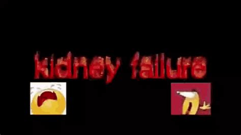 Kidney Failure Kidney Success GIF - Kidney Failure Kidney Success - Discover & Share GIFs