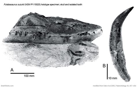 BrantWorks: Futabasaurus holotype