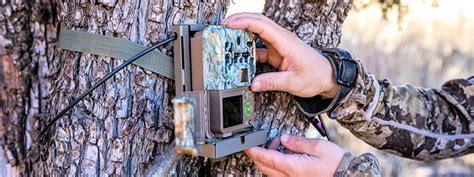 Trail Cameras Australia | Top Brands at the best prices.