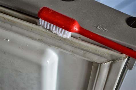 Quick Cleaning tip- How to clean a Fridge door seal