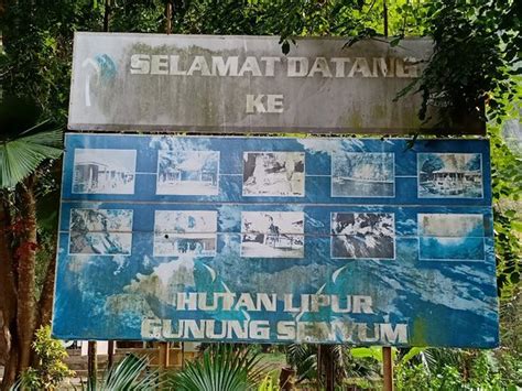 Gunung Senyum Recreational Forest (Temerloh) - 2021 All You Need to Know BEFORE You Go (with ...