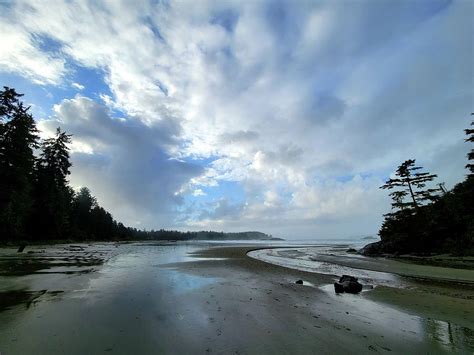 MacKenzie Beach in the Morning Photograph by Darrell MacIver - Fine Art ...