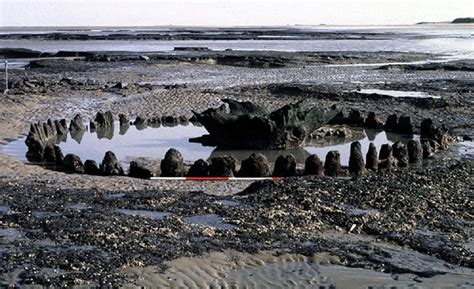 West Norfolk & King's Lynn Archaeology Society