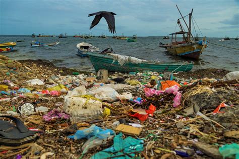 Documenting the Environmental Degradation of Sri Lanka - Groundviews