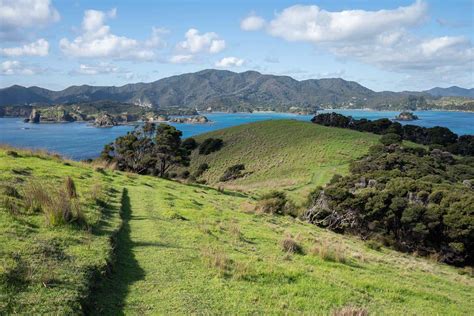 How to Visit Urupukapuka Island in Bay of Islands