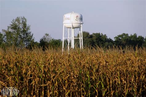 Get Lost in the Shipshewana Corn Maze! | All Roads Lead to the Kitchen