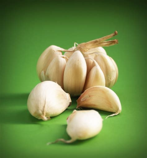 8 Essential Garlic Varieties for You to Plant This Fall - Garden and Happy