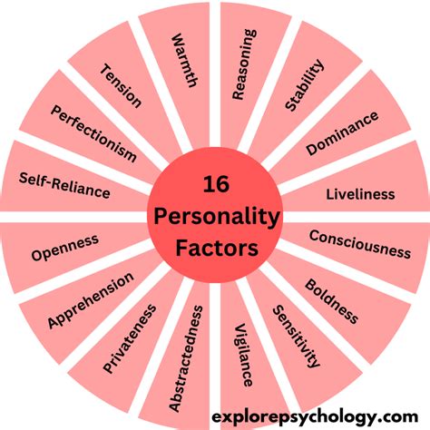 What Are the 16 Personality Factors? - Explore Psychology