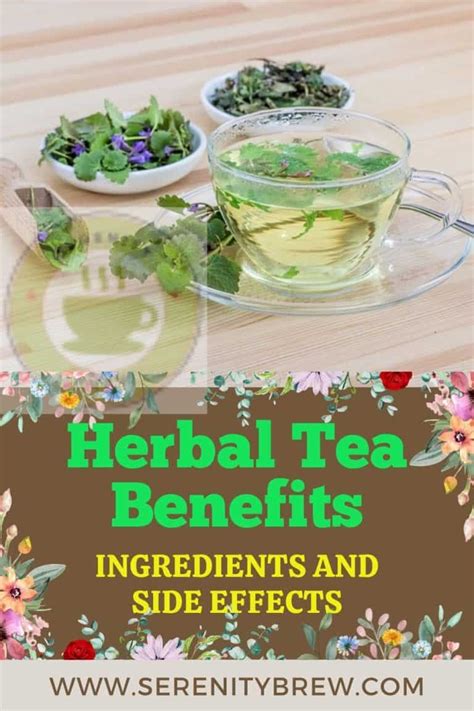 Herbal Tea Benefits: Ingredients and Side Effects - Serenity Brew