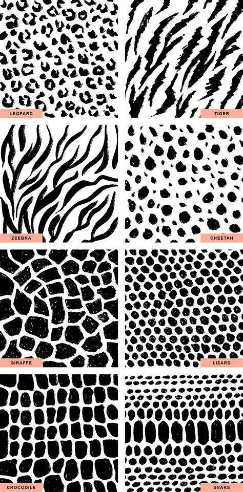 Animal Skin Patterns - Graphicsfuel