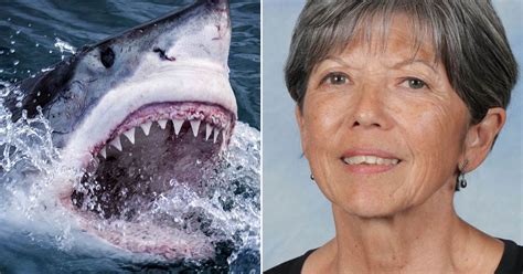British gran killed in shark attack in Australia while diving near Perth - Daily Record