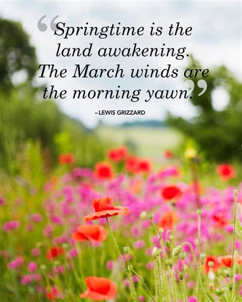 25 Beautiful Quotes That Will Give You Spring Fever | The morning ...