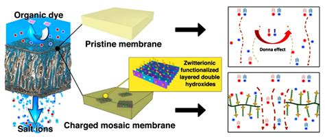 Polymers | Free Full-Text | Recent Advances in the Fabrication of Membranes Containing “Ion ...