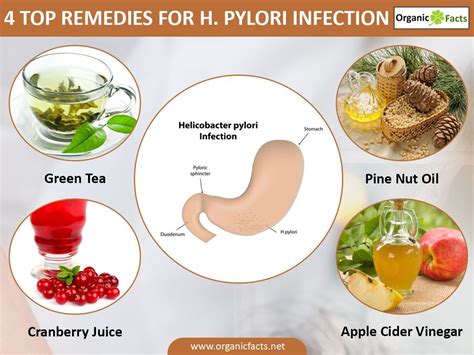 Review Of H Pylori Healthy Diet References - Healthy Beauty And Fashions