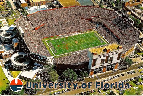 A Collection of Postcards: "The Swamp" at the University of Florida