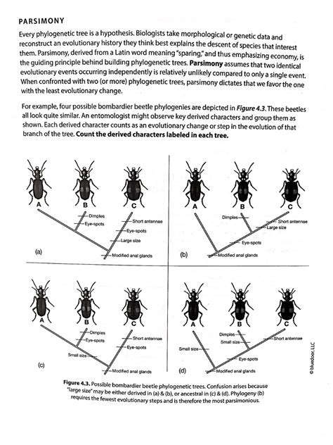 Solved: HOMOLOGY VS. HOMOPLASY The Intended Outcome Of Phy... | Chegg.com