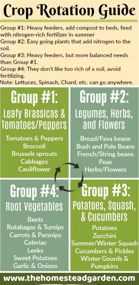 Crop Rotation Guide | Crop rotation, Organic gardening tips, Garden soil