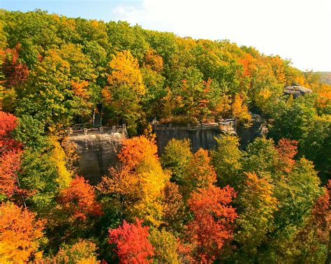 Fall in Love with the Allegheny National Forest Region