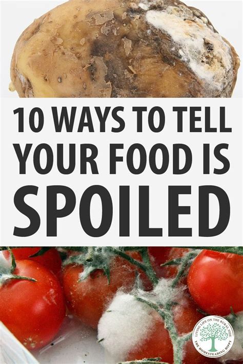 10 Ways to Tell Your Food is Spoiled * The Homesteading Hippy | Food shelf life, Food spoilage, Food