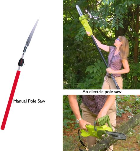 The Best Tree Saws for Every Backyard and Garden Task - Dengarden