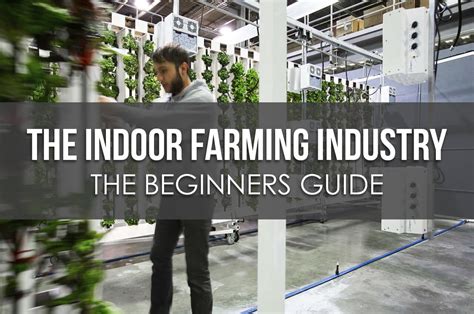 The Beginner's Guide to the Indoor Farming Industry - Upstart University