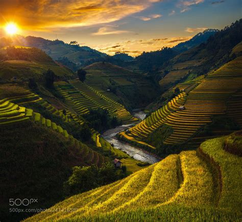 Rice field and rice terrace in Mu cang chai by Anek2910 | Original landscape, Sunrise, Landscape ...