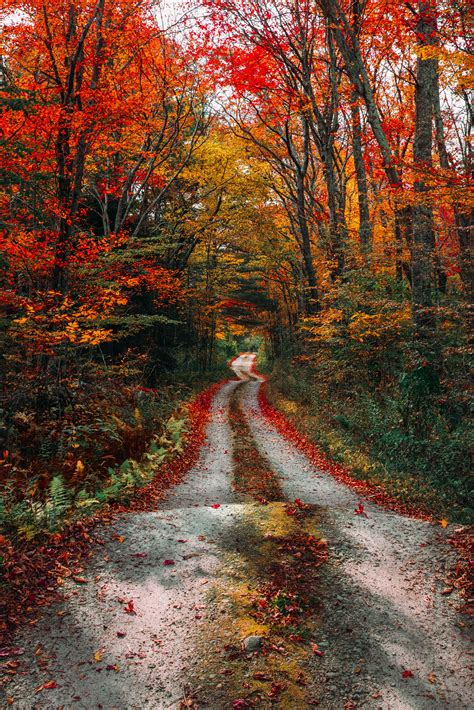 The New England Guide to Leaf Peeping - Classy Girls Wear Pearls | Autumn scenes, Autumn scenery ...