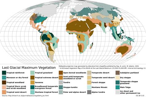 Last Glacial Maximum vegetation map