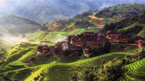 nature, Landscape, Trees, China, Asia, Rice Paddy, Morning, Mist, House, Hill, Forest, Terraced ...