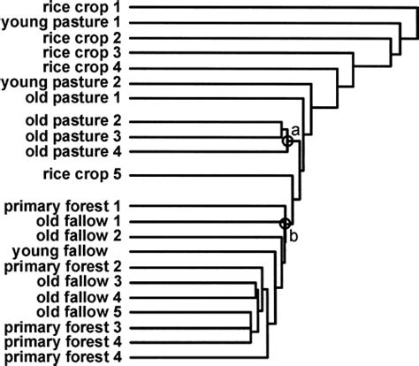 Classification of the plots according to their soil macrofauna... | Download Scientific Diagram