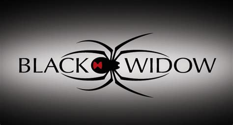 Black Widow New Logo | Free Images at Clker.com - vector clip art ...