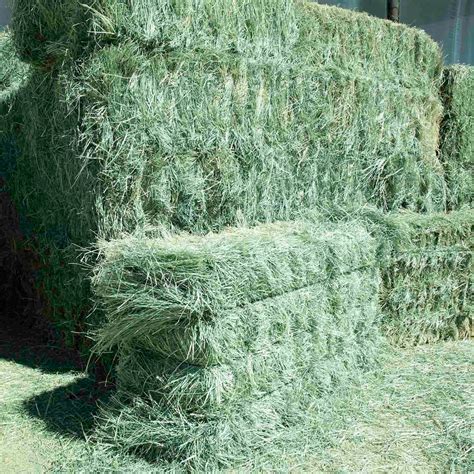 Hay For Sale Near Me in Arizona — Conway Feed & Supply