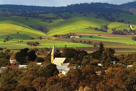 Barossa Valley Wine Region Hop-On Hop-Off Tour from Adelaide image