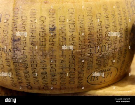 Whole wheel of Parmigiano Reggiano cheese Stock Photo - Alamy