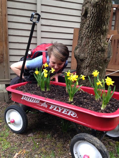 Celebrate Today : little red wagon