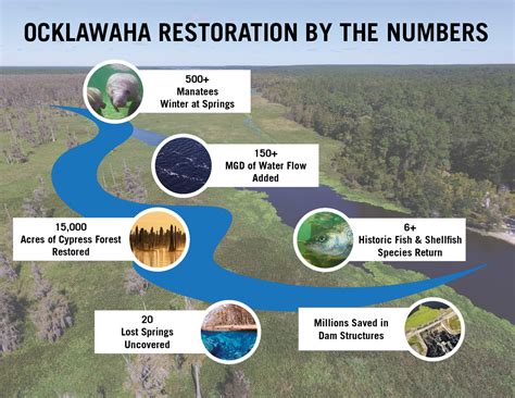 Restore the Ocklawaha River – Rewild Florida