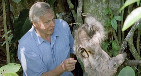 David Attenborough's best episodes and moments